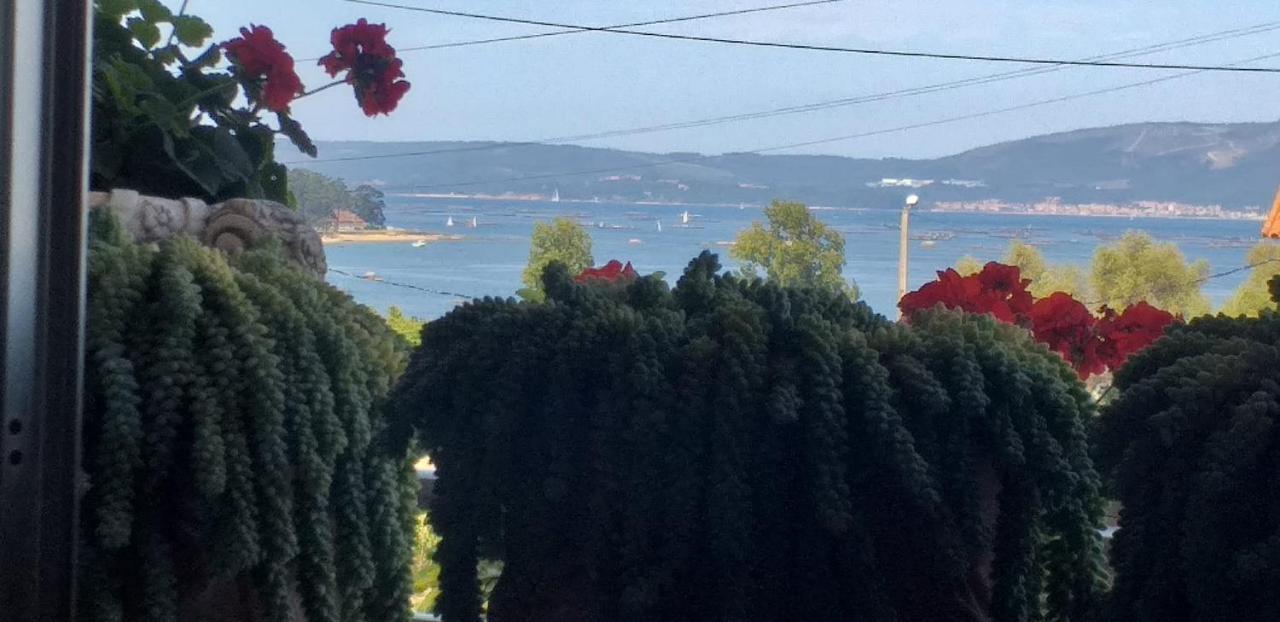 Apart Romero Garden C Villanueva De Arosa Εξωτερικό φωτογραφία